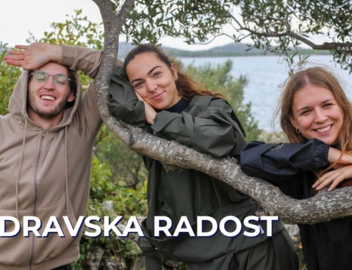 FOTOGALERIJA: Berba maslina na Modravama