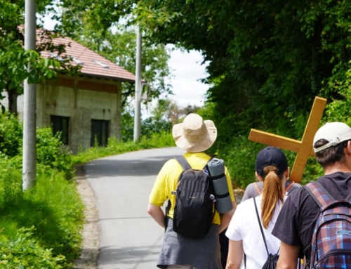 Što se događalo u SKAC domu od lipnja i najava nove faze radova